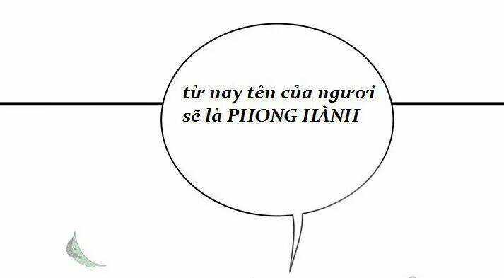 Độc Phi Thần Y Quá Kiêu Ngạo - Chapter 48 - Trang 12