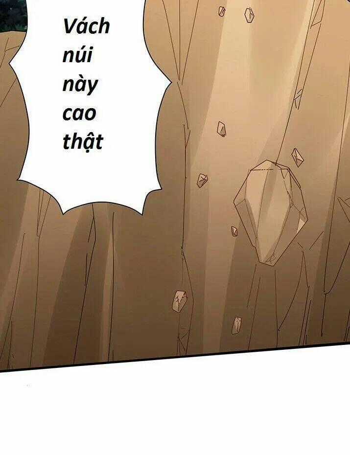 Độc Phi Thần Y Quá Kiêu Ngạo - Chapter 5 - Trang 1