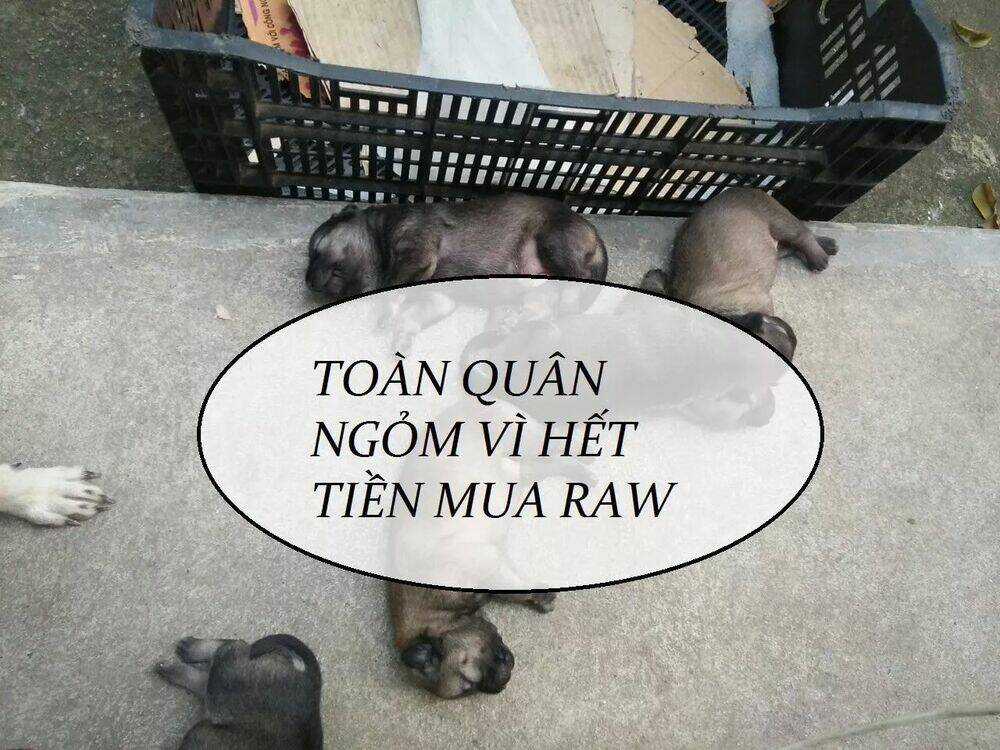 Độc Phi Thần Y Quá Kiêu Ngạo - Chapter 68 - Trang 52