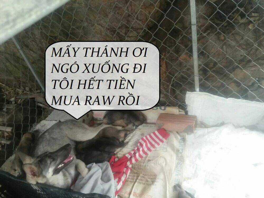 Độc Phi Thần Y Quá Kiêu Ngạo - Chapter 68 - Trang 53