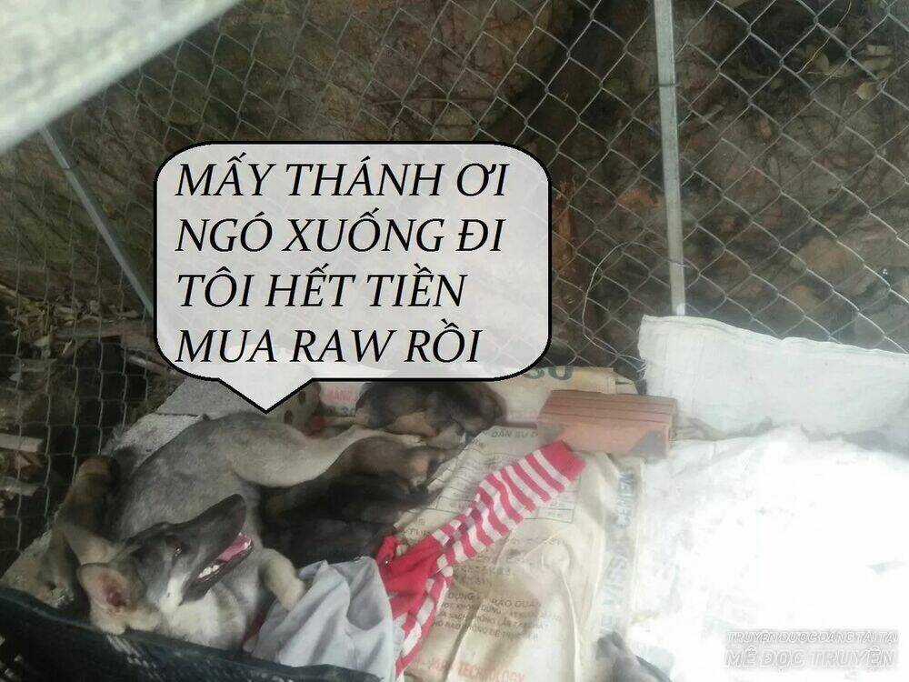 Độc Phi Thần Y Quá Kiêu Ngạo - Chapter 69 - Trang 46