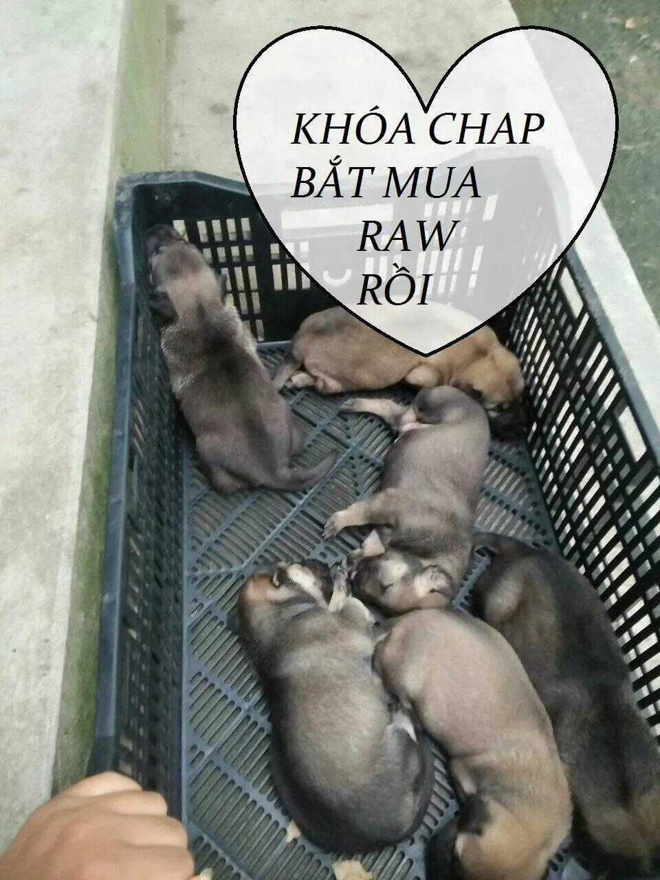 Độc Phi Thần Y Quá Kiêu Ngạo - Chapter 69 - Trang 47