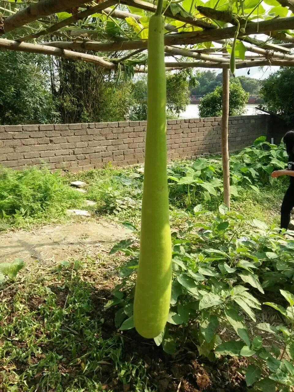 Độc Phi Thần Y Quá Kiêu Ngạo - Chapter 80 - Trang 57