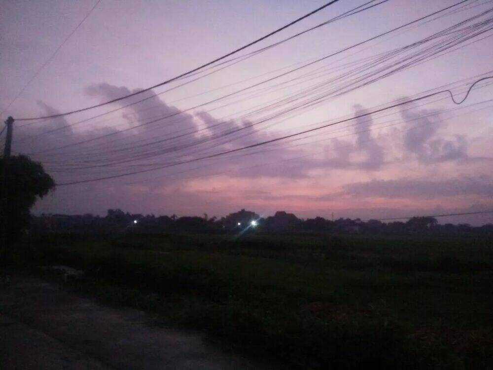 Độc Phi Thần Y Quá Kiêu Ngạo - Chapter 82 - Trang 54