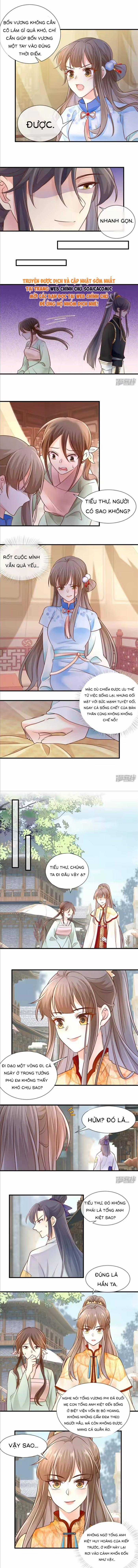 Độc Phi Trùng Sinh Báo Thù - Chapter 51 - Trang 2