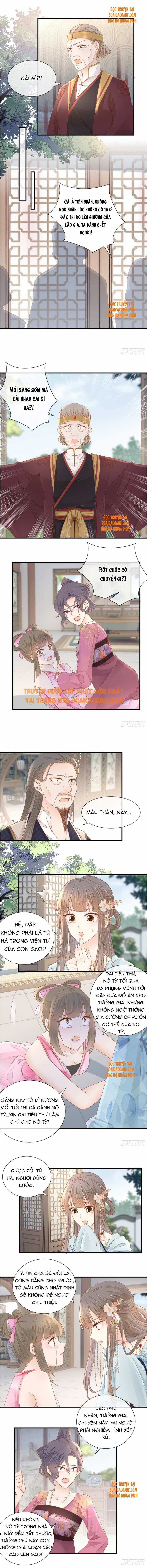 Độc Phi Trùng Sinh Báo Thù - Chương 19 - Trang 3