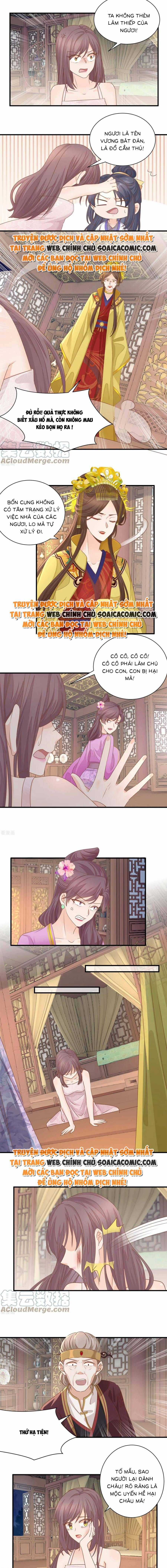 Độc Phi Trùng Sinh Báo Thù - Chương 24 - Trang 3