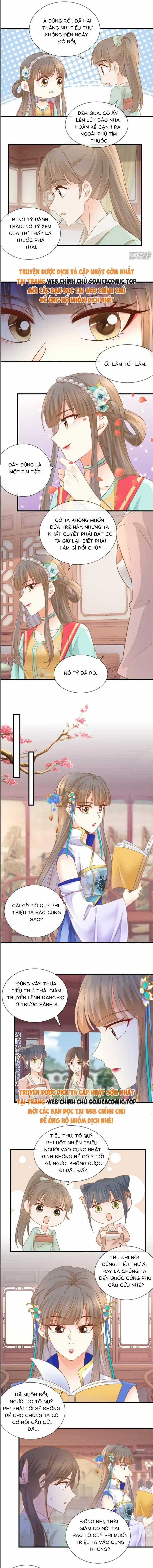 Độc Phi Trùng Sinh Báo Thù - Chương 33 - Trang 2