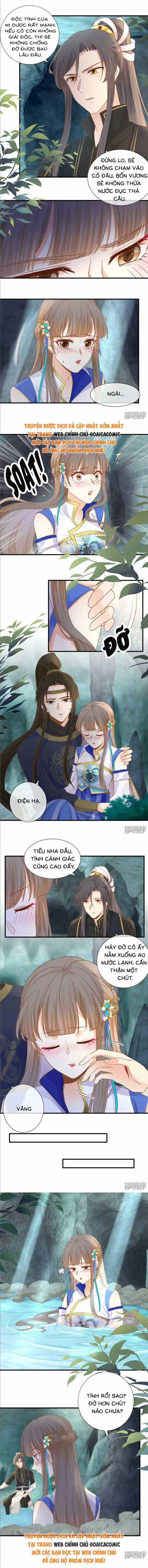 Độc Phi Trùng Sinh Báo Thù - Chương 35 - Trang 3