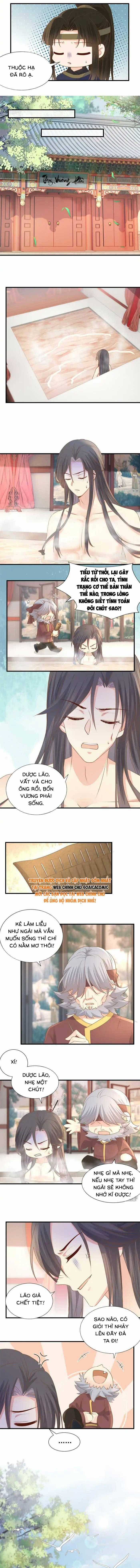 Độc Phi Trùng Sinh Báo Thù - Chương 37 - Trang 2