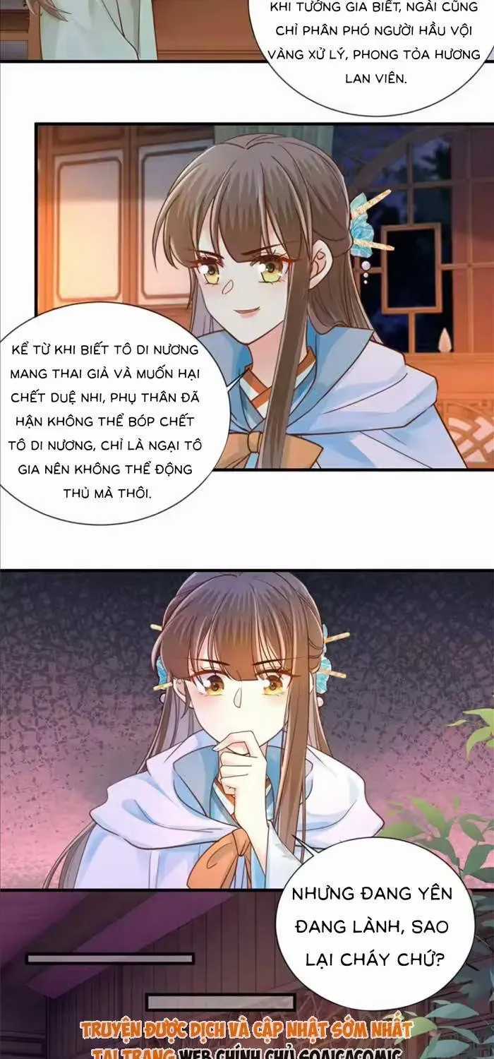 Độc Phi Trùng Sinh Báo Thù - Chương 61 - Trang 3