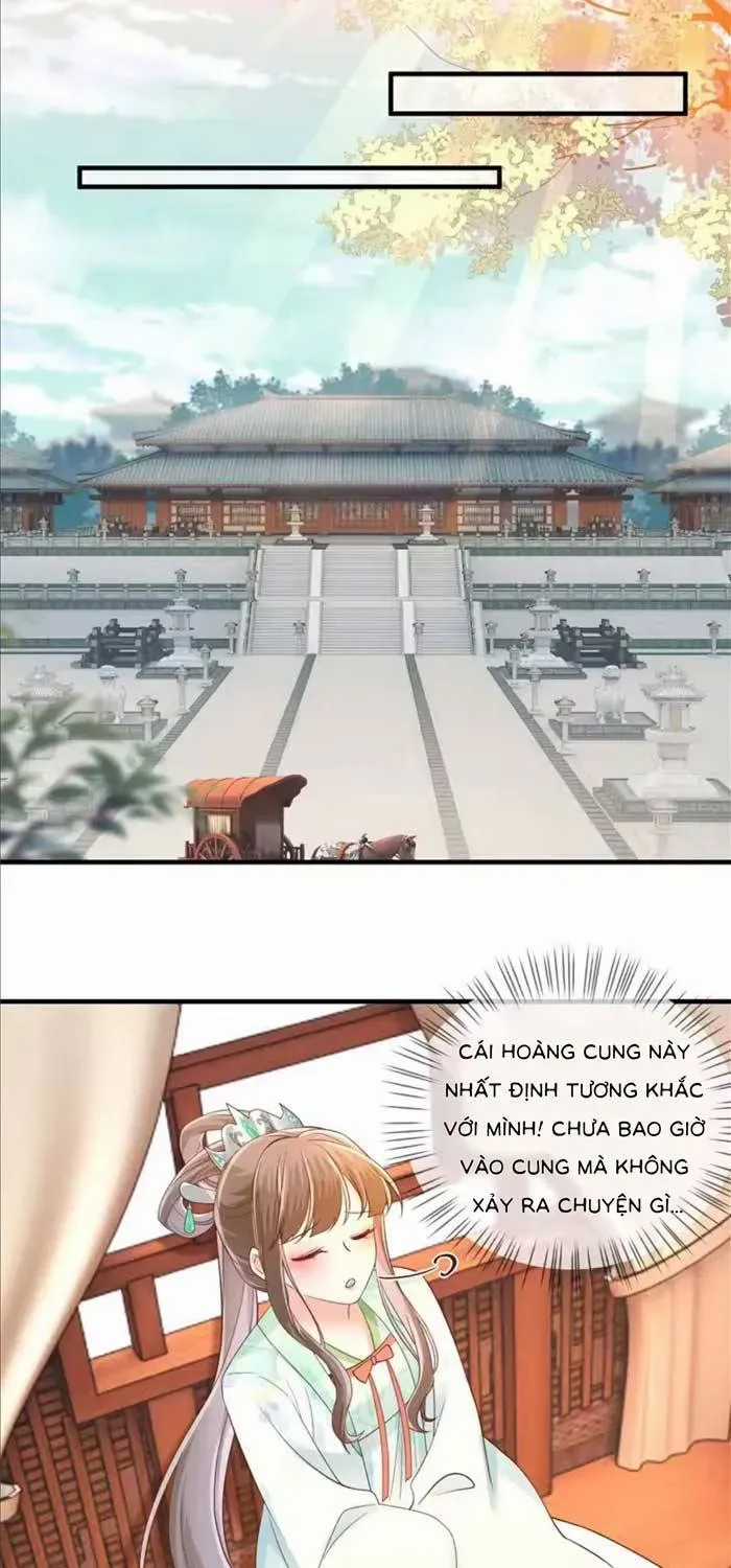 Độc Phi Trùng Sinh Báo Thù - Chương 63 - Trang 12