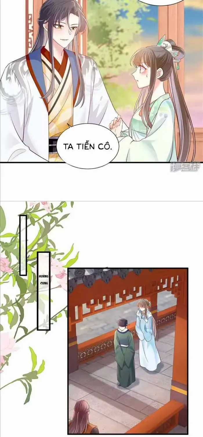 Độc Phi Trùng Sinh Báo Thù - Chương 65 - Trang 8