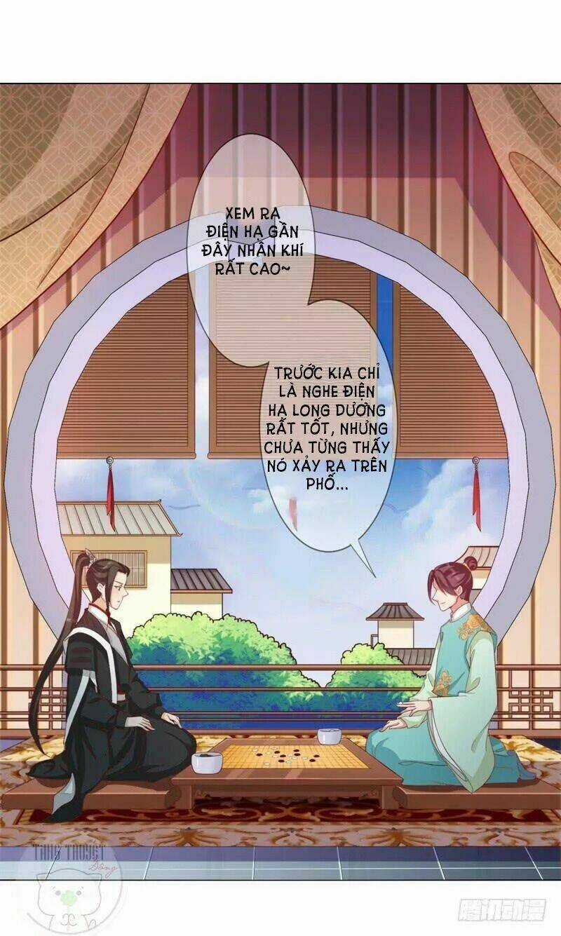 Độc Y Cuồng Phi - Chapter 13 - Trang 2