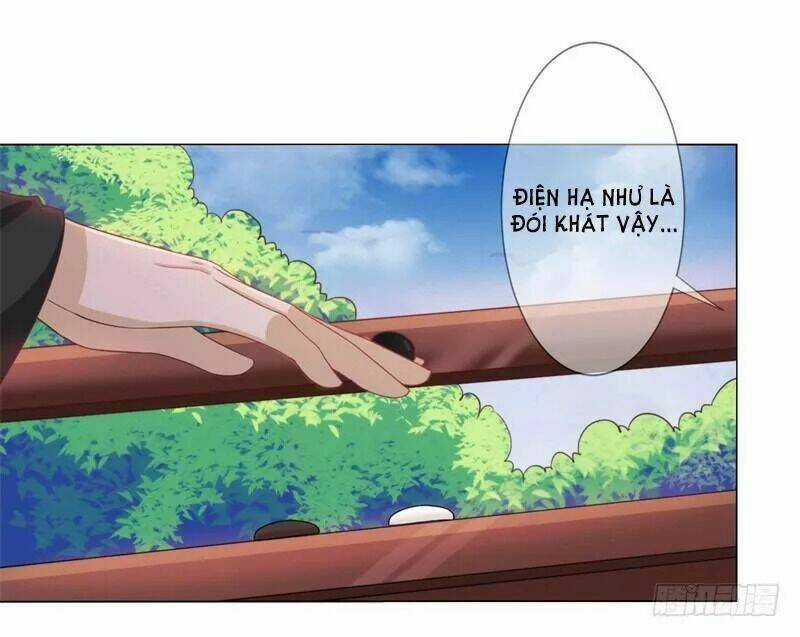 Độc Y Cuồng Phi - Chapter 13 - Trang 3