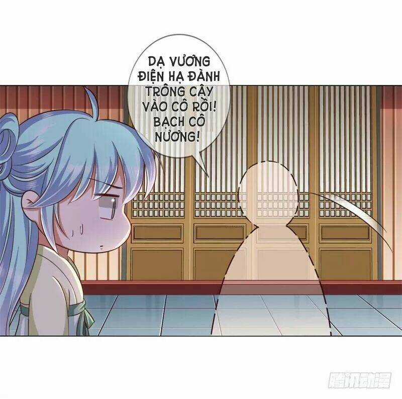 Độc Y Cuồng Phi - Chapter 20 - Trang 15