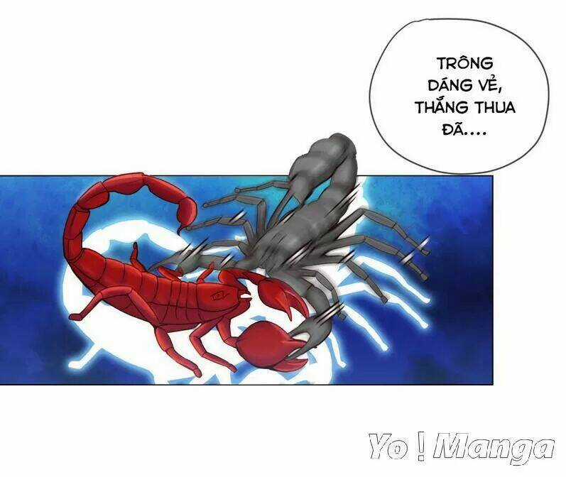 Độc Y Cuồng Phi - Chapter 29 - Trang 4