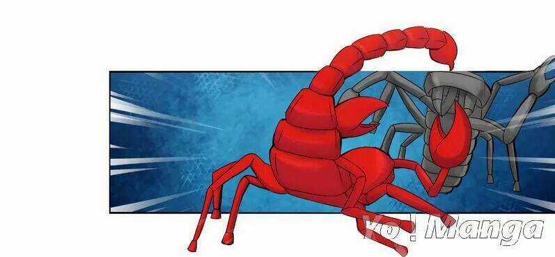 Độc Y Cuồng Phi - Chapter 29 - Trang 6