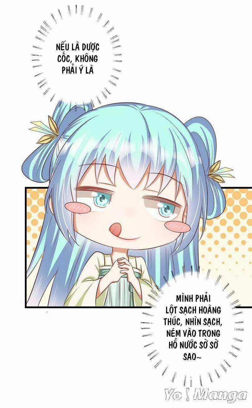 Độc Y Cuồng Phi - Chapter 34 - Trang 13