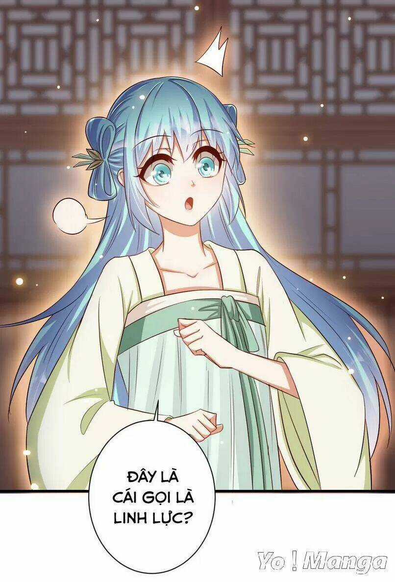 Độc Y Cuồng Phi - Chapter 35 - Trang 3