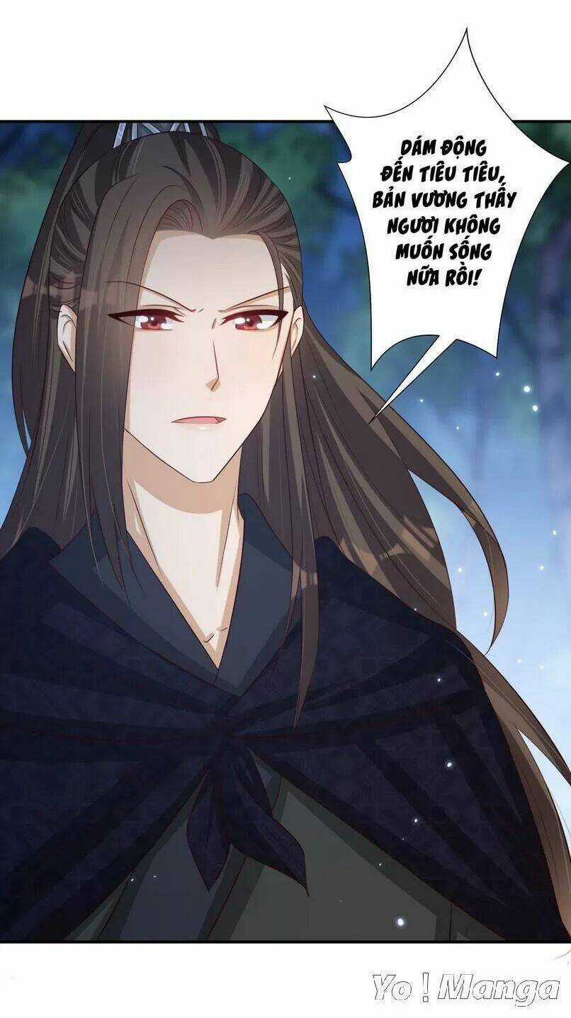 Độc Y Cuồng Phi - Chapter 41 - Trang 11