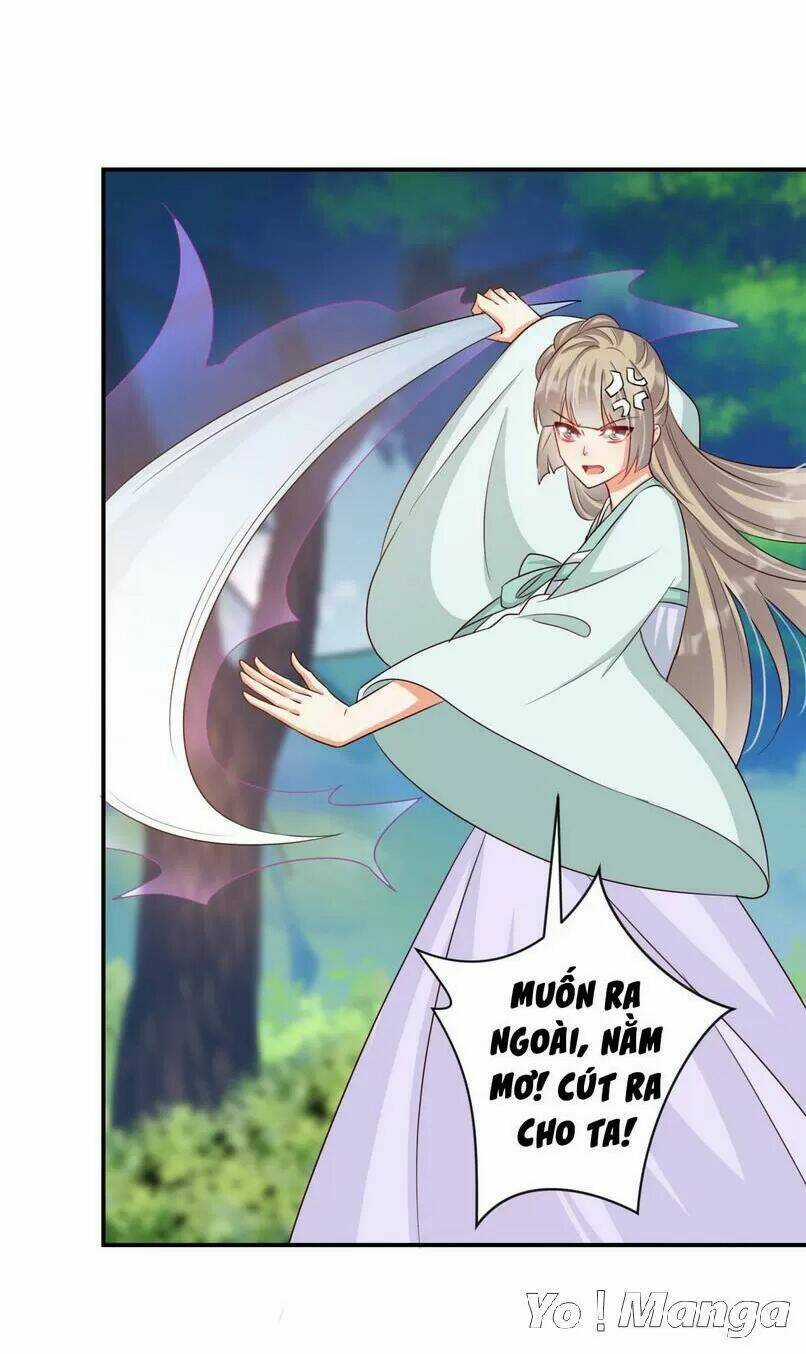 Độc Y Cuồng Phi - Chapter 50 - Trang 16