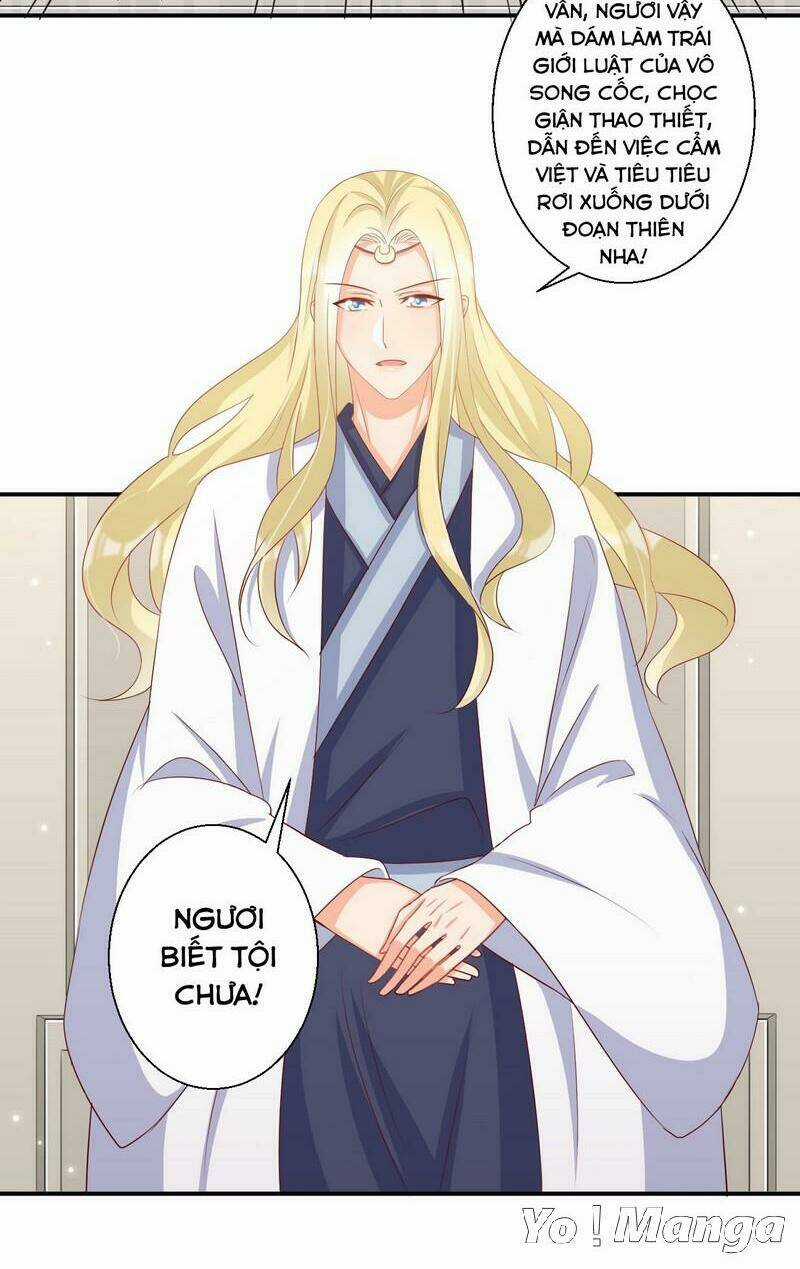 Độc Y Cuồng Phi - Chapter 53 - Trang 3