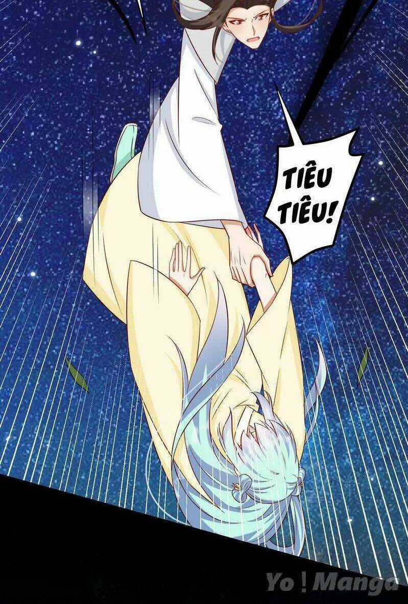 Độc Y Cuồng Phi - Chapter 57 - Trang 3