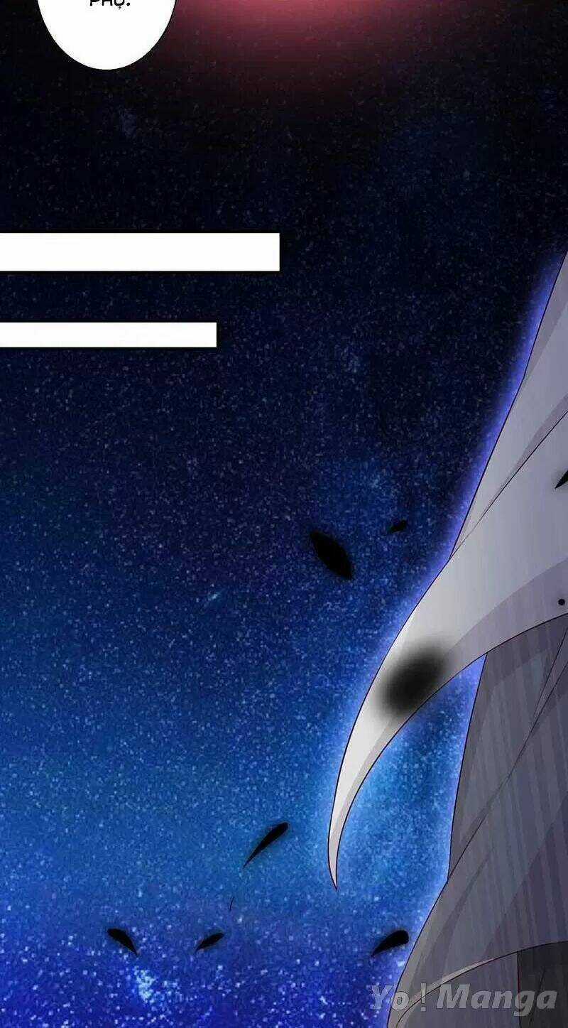 Độc Y Cuồng Phi - Chapter 60 - Trang 16