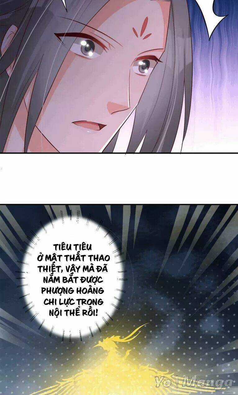 Độc Y Cuồng Phi - Chapter 66 - Trang 26