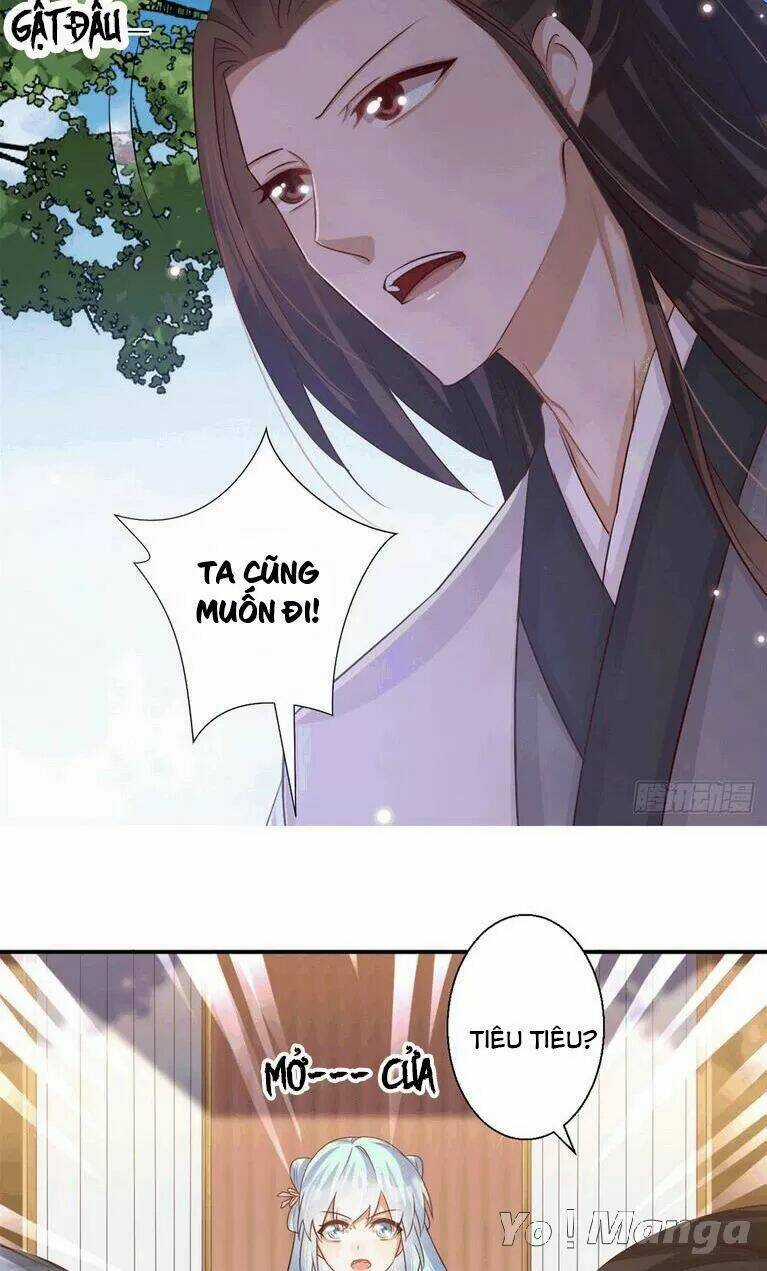 Độc Y Cuồng Phi - Chapter 66 - Trang 5