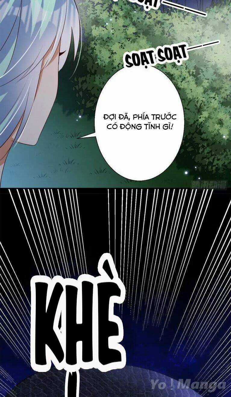 Độc Y Cuồng Phi - Chapter 67 - Trang 29