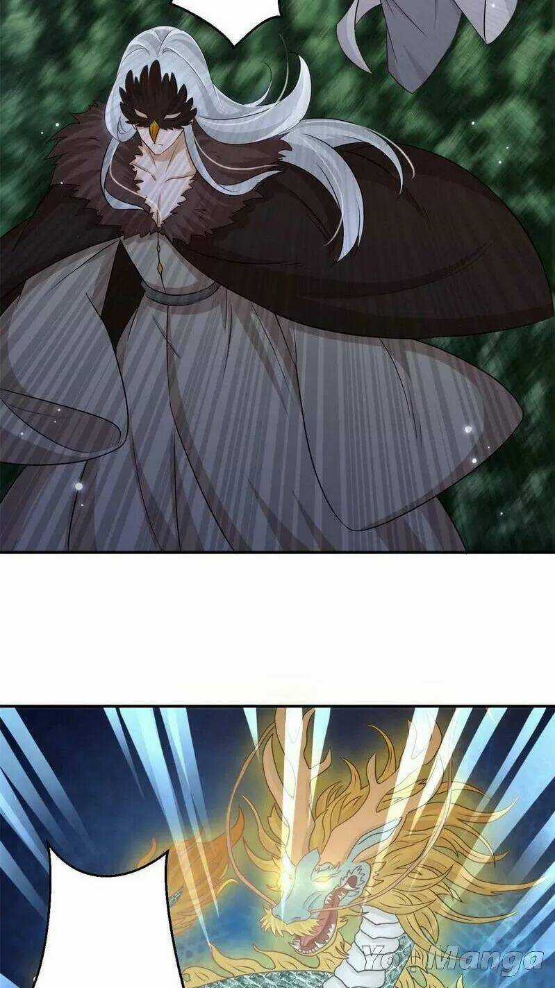 Độc Y Cuồng Phi - Chapter 69 - Trang 12