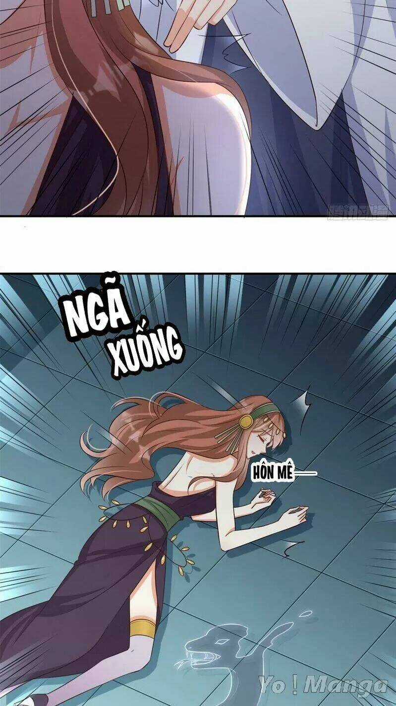 Độc Y Cuồng Phi - Chapter 69 - Trang 5