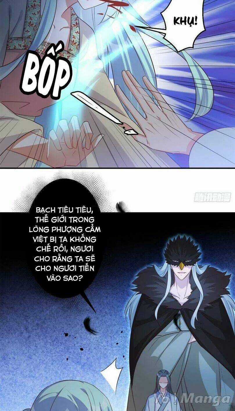 Độc Y Cuồng Phi - Chapter 71 - Trang 16