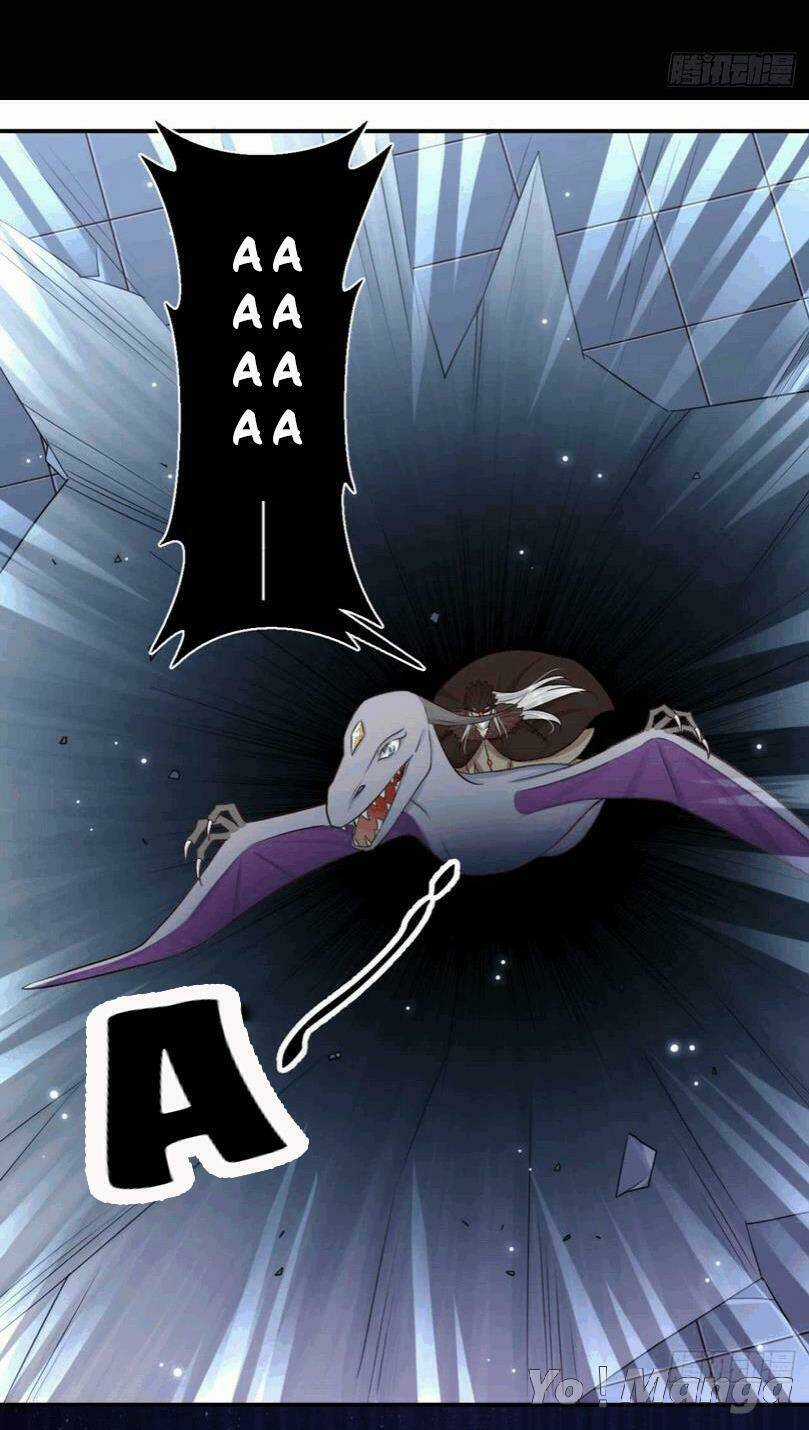 Độc Y Cuồng Phi - Chapter 72 - Trang 14