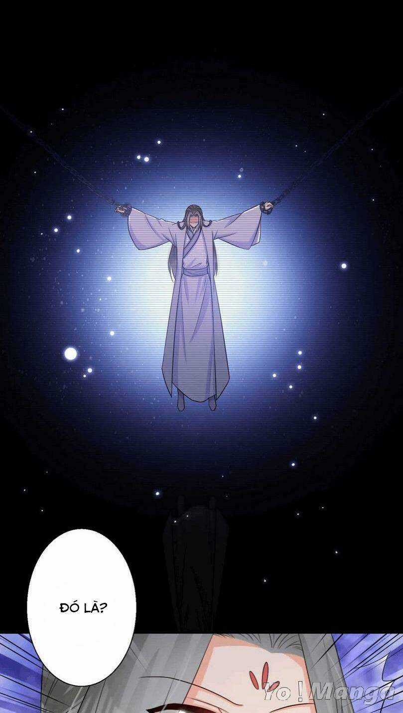 Độc Y Cuồng Phi - Chapter 72 - Trang 4