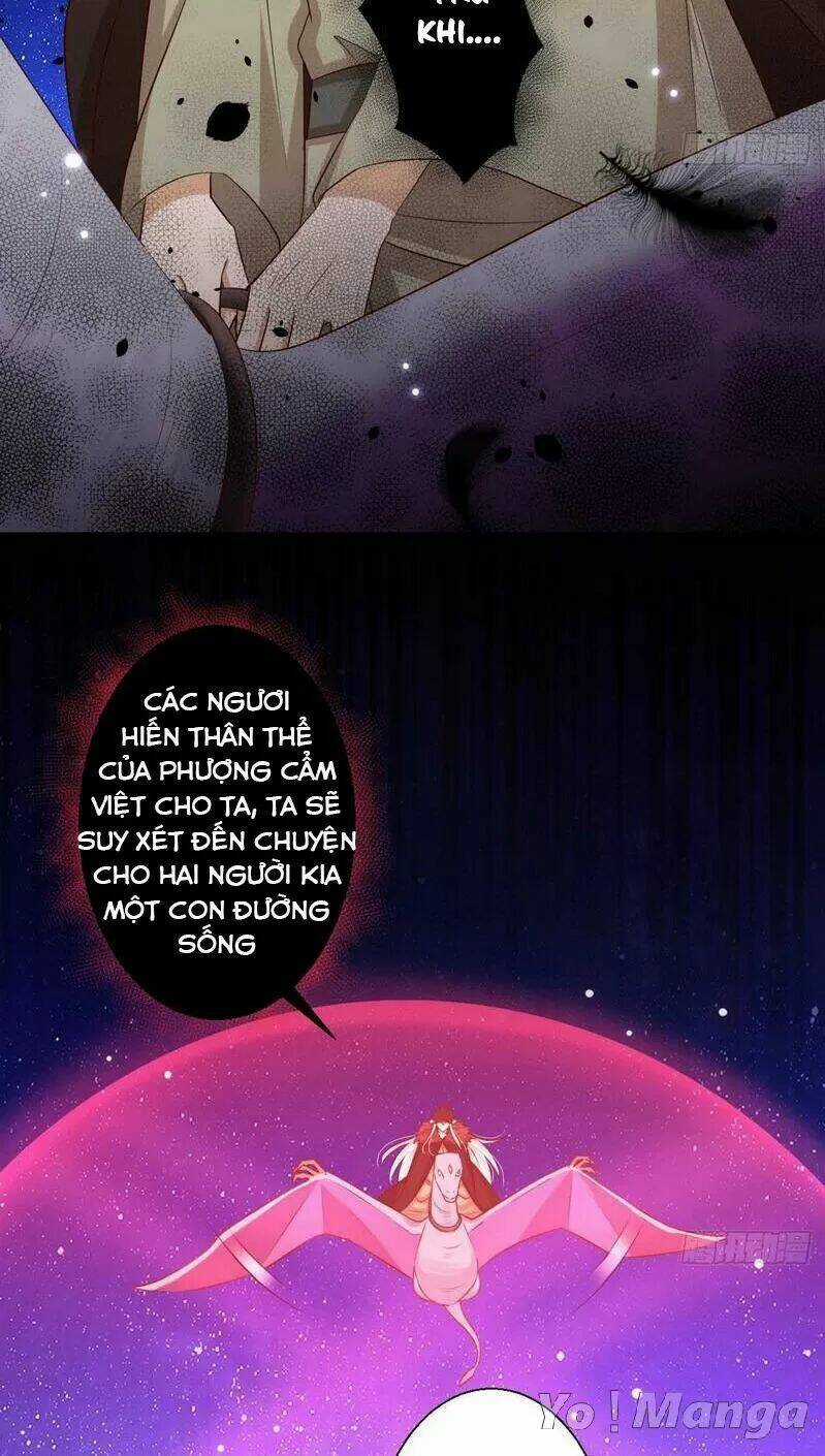 Độc Y Cuồng Phi - Chapter 73 - Trang 7