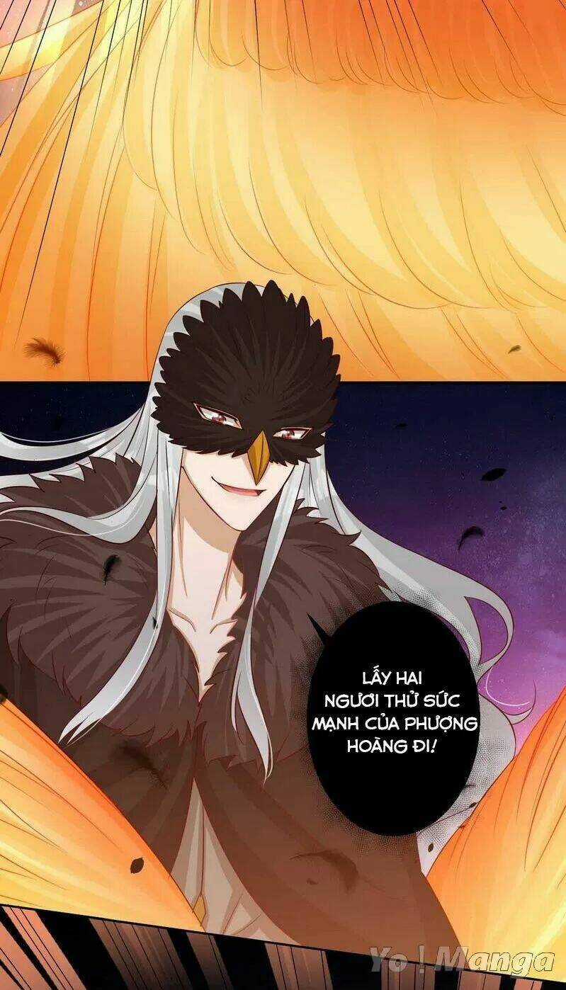 Độc Y Cuồng Phi - Chapter 74 - Trang 21