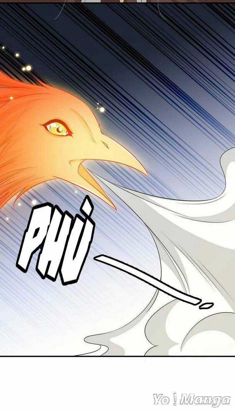 Độc Y Cuồng Phi - Chapter 74 - Trang 25