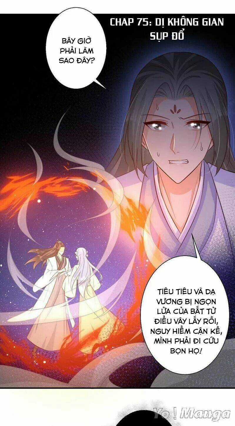 Độc Y Cuồng Phi - Chapter 75 - Trang 1