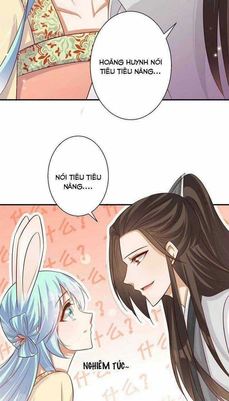 Độc Y Cuồng Phi - Chapter 76 - Trang 14