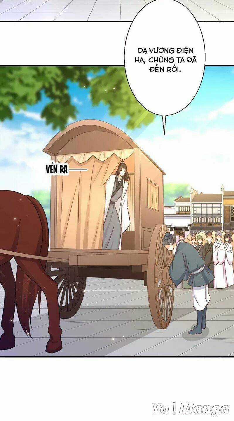 Độc Y Cuồng Phi - Chapter 77 - Trang 11