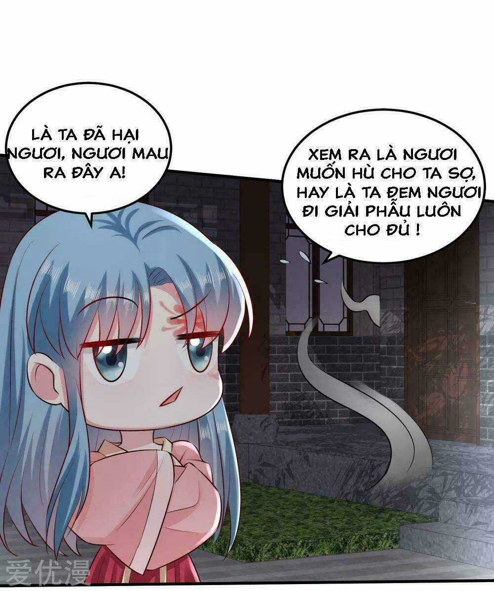 Độc Y Đích Nữ - Chapter 12 - Trang 16