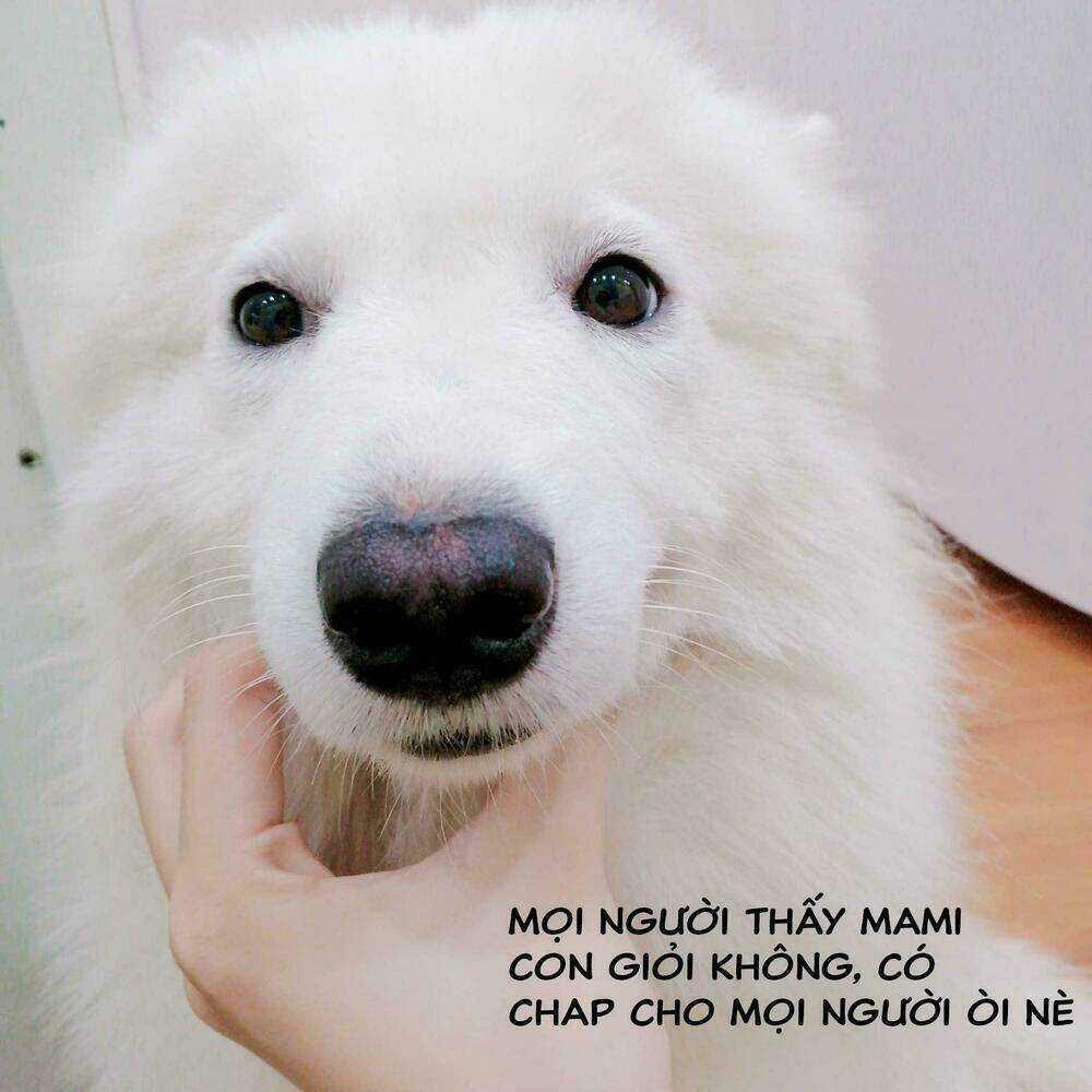 Độc Y Đích Nữ - Chapter 15 - Trang 36