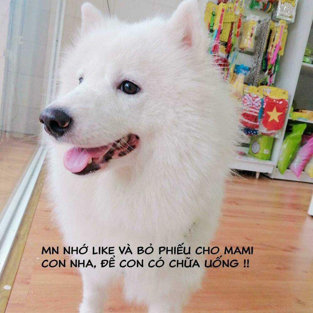 Độc Y Đích Nữ - Chapter 15 - Trang 37