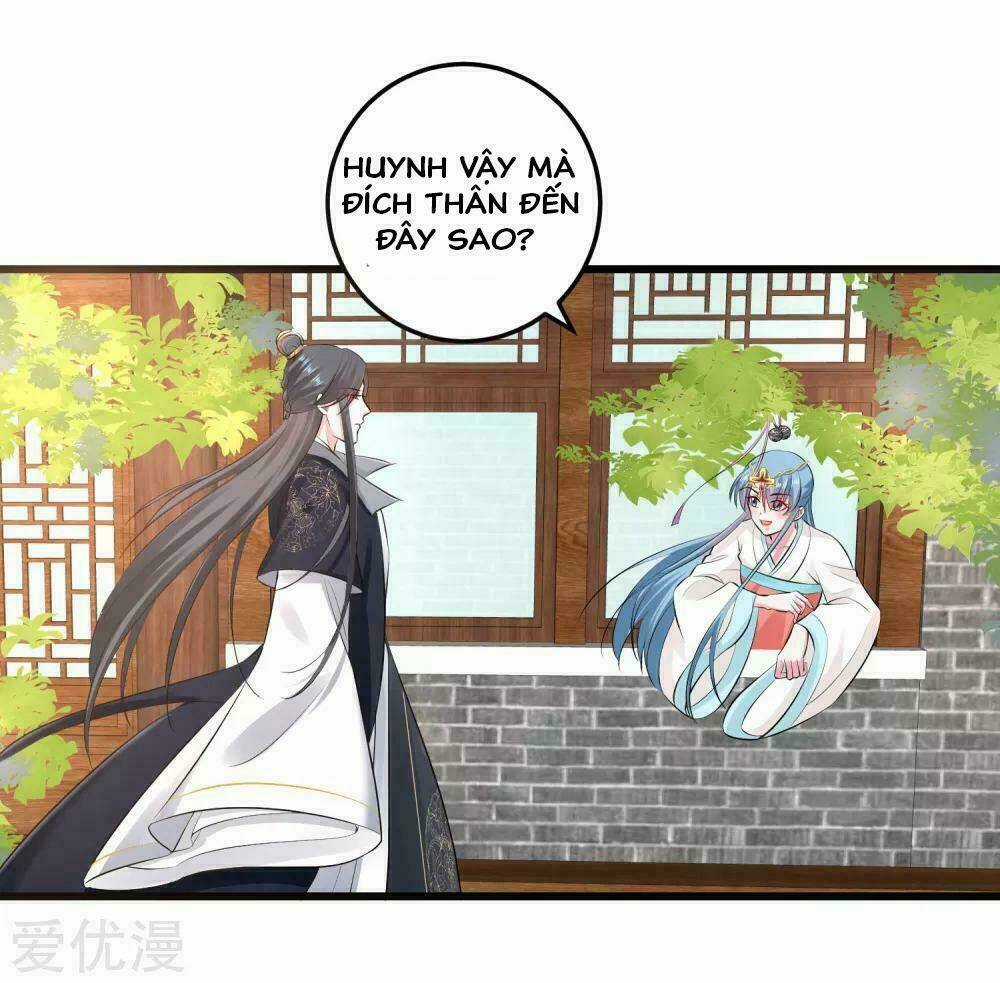 Độc Y Đích Nữ - Chapter 16 - Trang 25