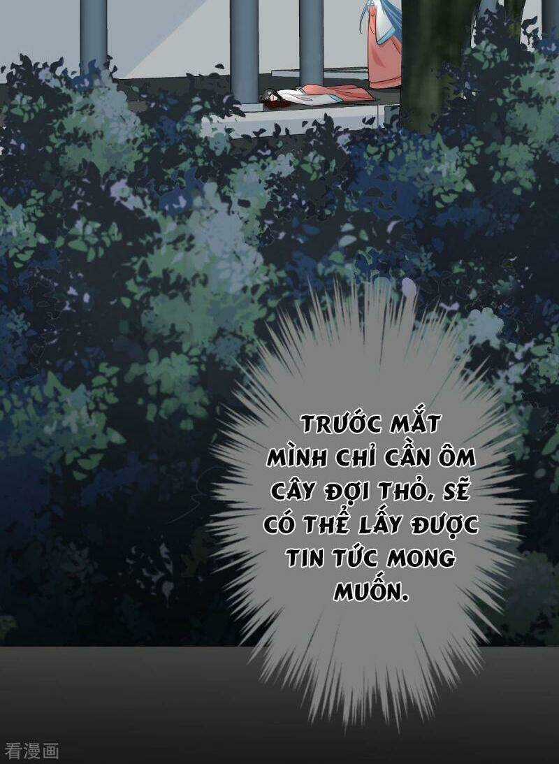 Độc Y Đích Nữ - Chapter 28 - Trang 25