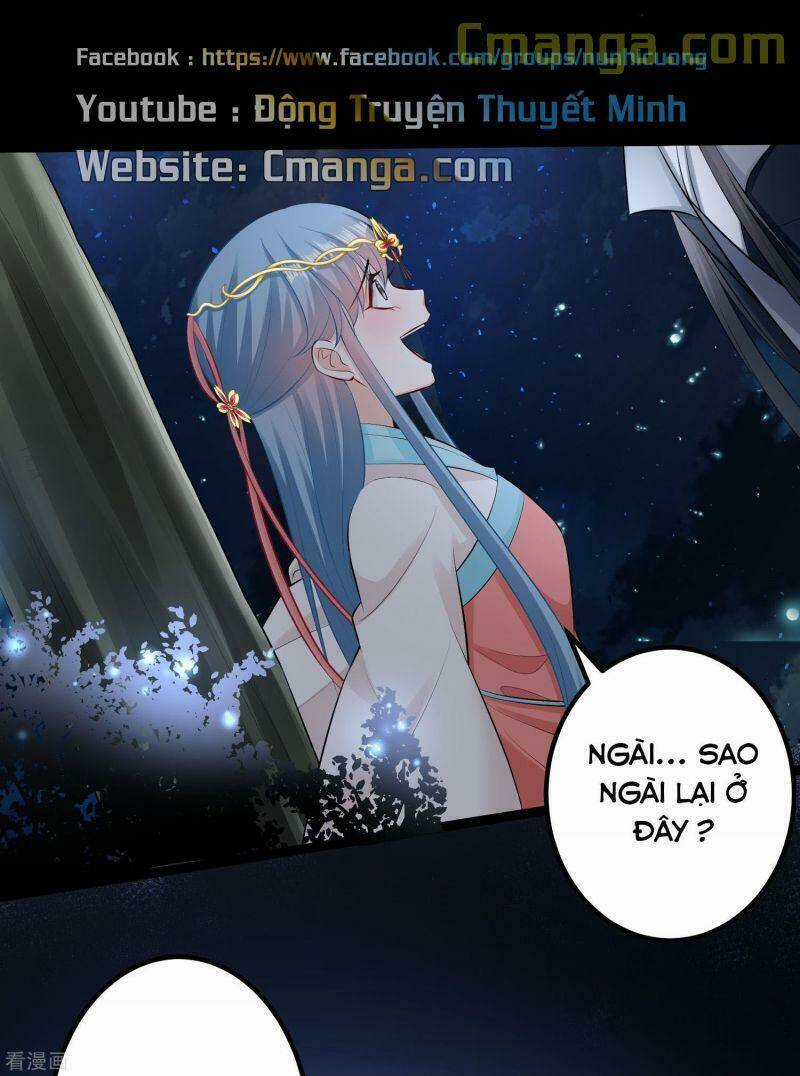 Độc Y Đích Nữ - Chapter 29 - Trang 12