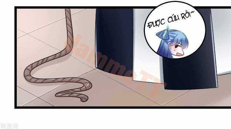 Độc Y Đích Nữ - Chapter 62 - Trang 21